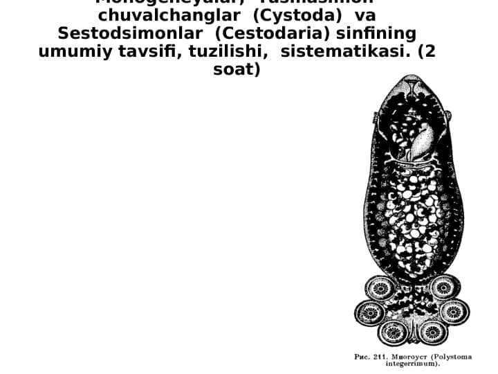 Monogeneyalar, Tasmasimon chuvalchanglar (Cystoda) va Sestodsimonlar (Cestodaria) sinfining umumiy tavsifi, tuzilishi, sistematikasi. pptx