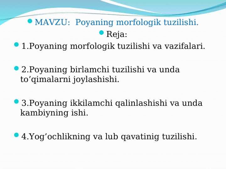 Poyaning morfologik tuzilishi