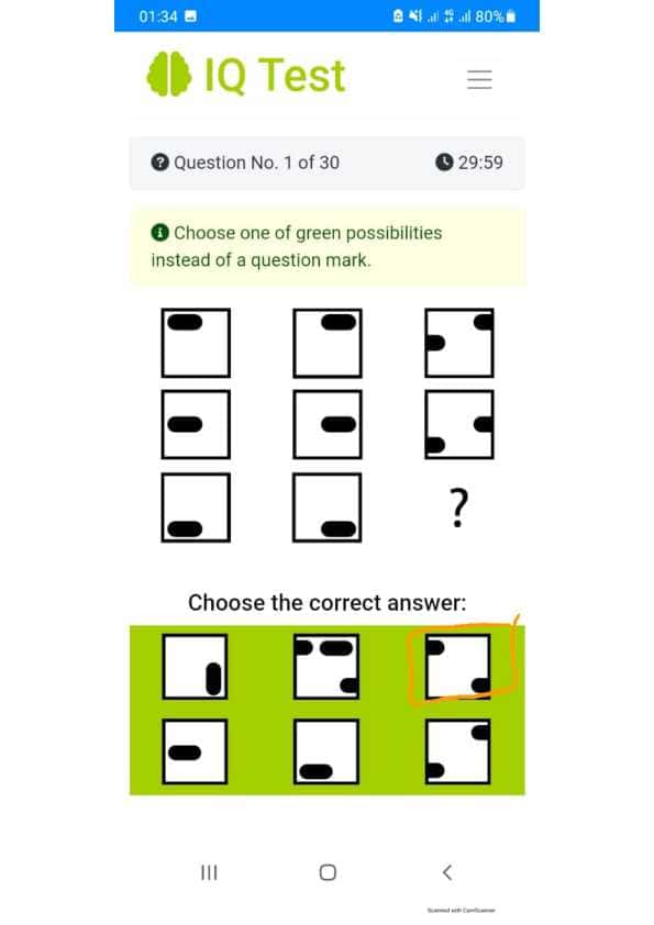 argo IQ test javoblari 2025