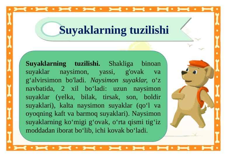 Suyaklarning tuzilishi