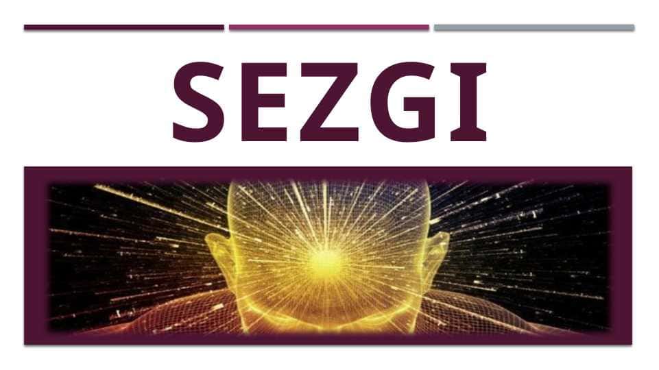 sezgi