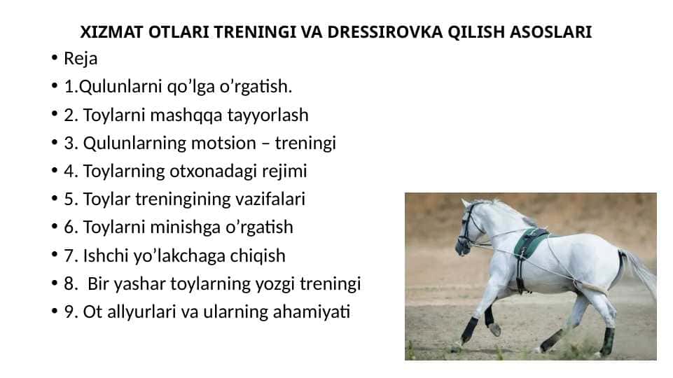 XIZMAT OTLARI TRENINGI VA DRESSIROVKA QILISH ASOSLARI