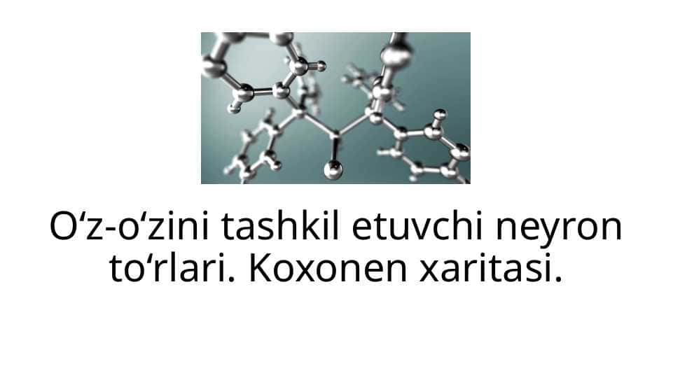O‘z-o‘zini tashkil etuvchi neyron to‘rlari. Koxonen xaritasi.