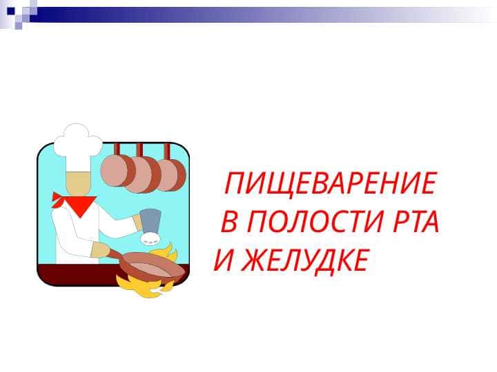 ПИЩЕВАРЕНИЕ В ПОЛОСТИ РТА И ЖЕЛУДКЕ