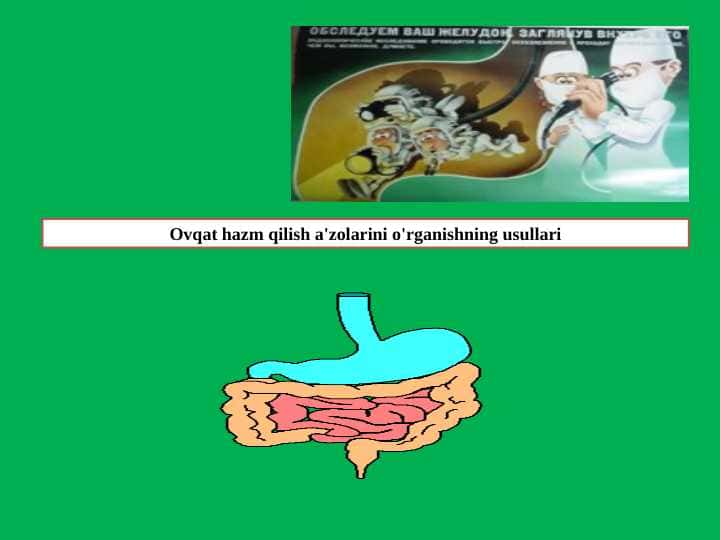 Ovqat hazm qilish a'zolarini o'rganishning usullari