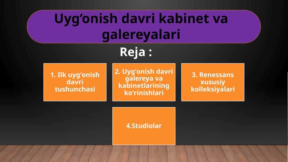 Uyg‘onish davri kabinet va galereyalari