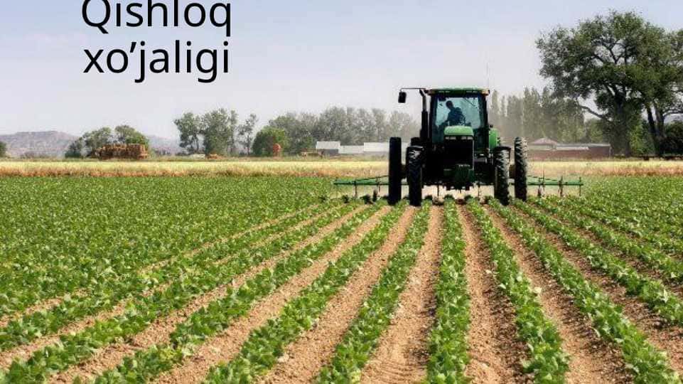 Qishloq xo'jaligi