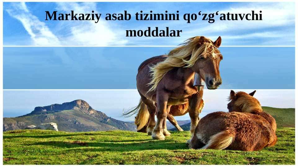 Markaziy asab tizimini qo‘zg‘atuvchi moddalar(hayvonlarda)
