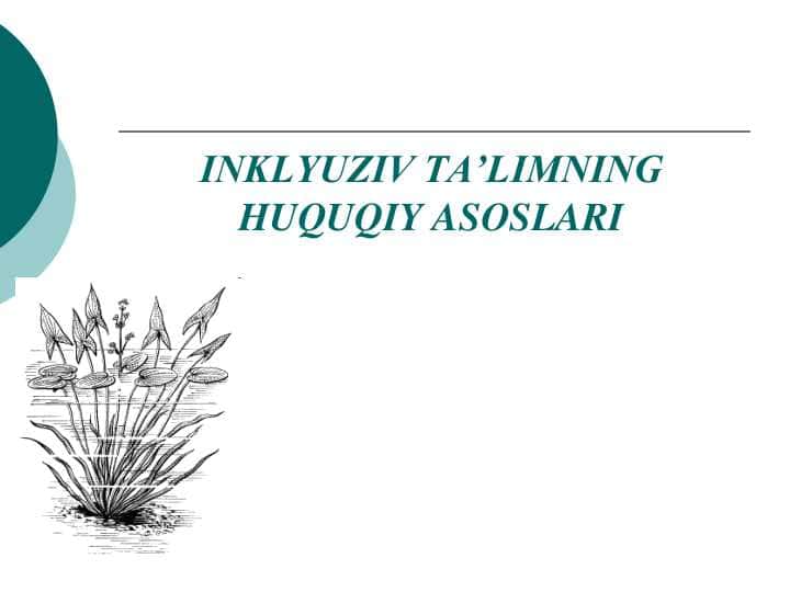 INKLYUZIV TA‟LIMNING HUQUQIY ASOSLARI