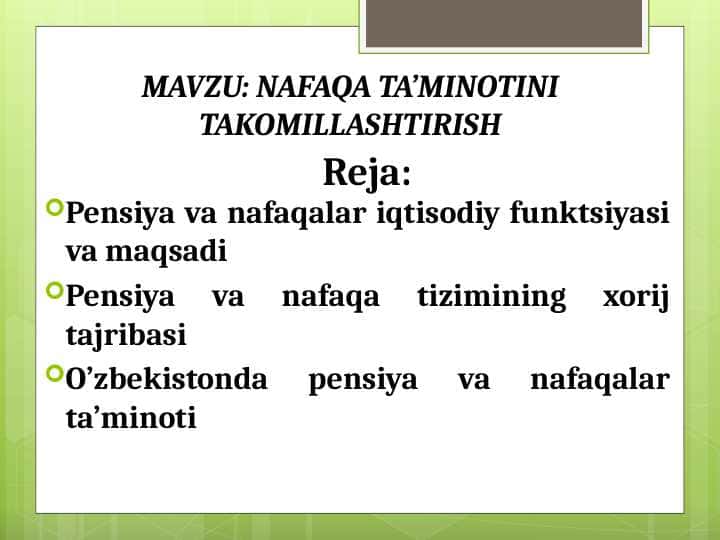 NAFAQA TA’MINOTINI TAKOMILLASHTIRISH