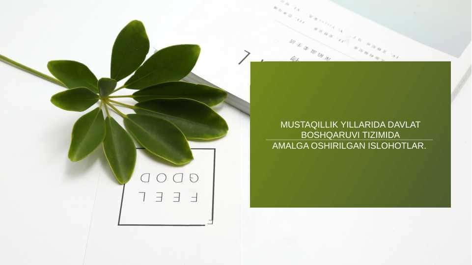 MUSTAQILLIK YILLARIDA DAVLAT BOSHQARUVI TIZIMIDA AMALGA OSHIRILGAN ISLOHOTLAR.