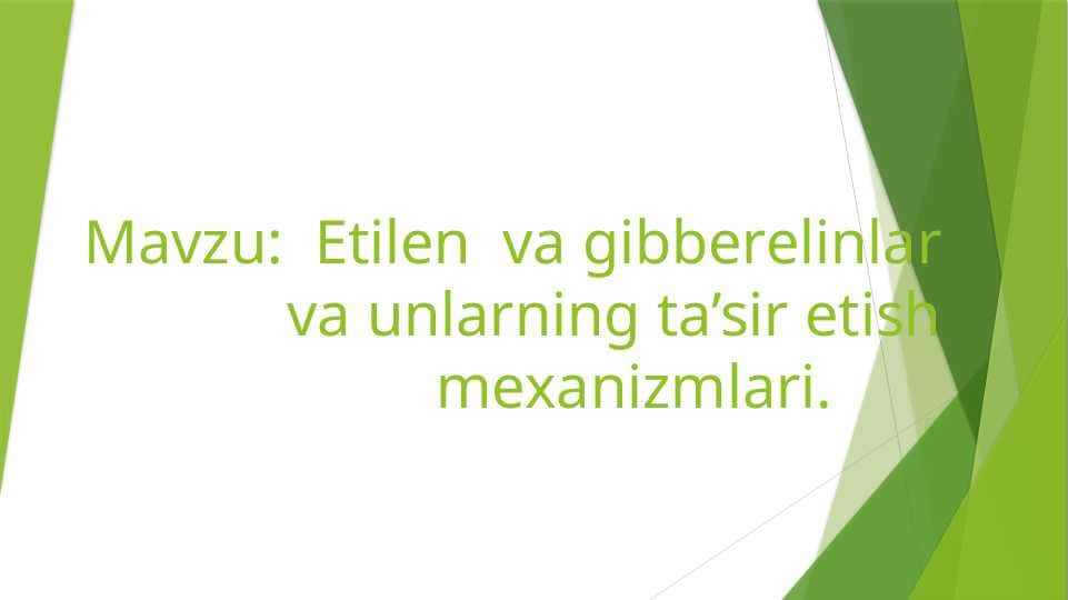 Etilen va gibberelinlar va unlarning ta’sir etish mexanizmlari.