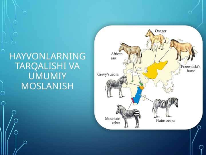 hayvonlarning-tarqalishi-va-umumiy-moslanish