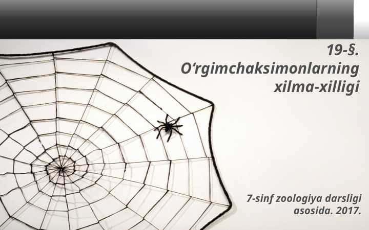 O'rgamchaksimonlarning xilma xilligi