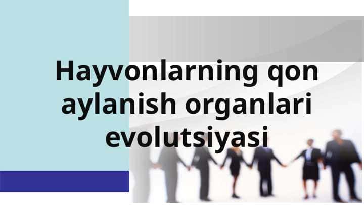 Hayvonlarning qon aylanish organlari evolutsiyasi