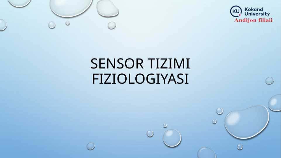 SENSOR TIZIMI FIZIOLOGIYASI