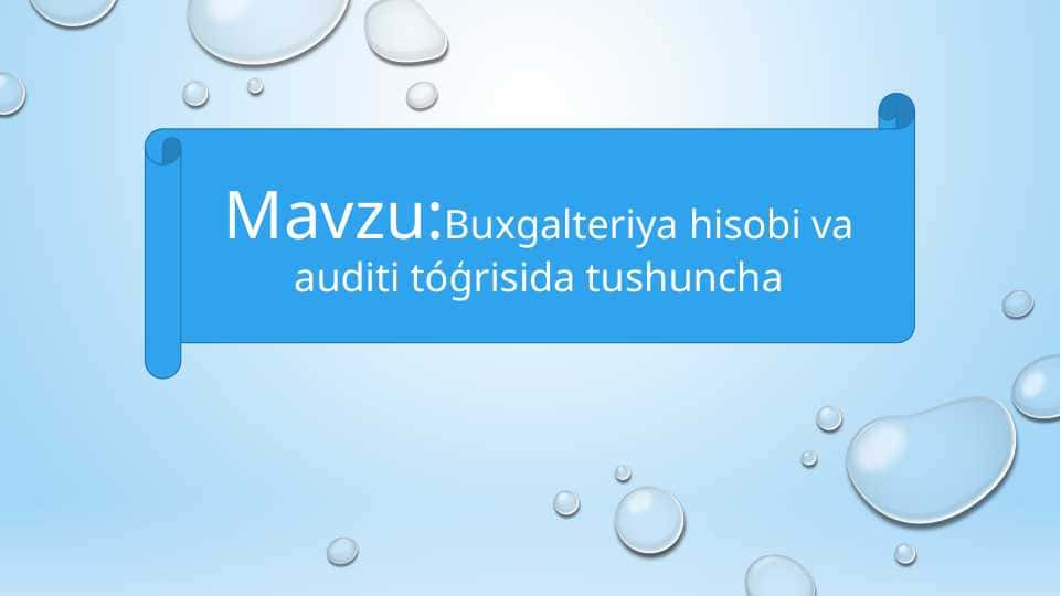 Buxgalteriya hisobi va auditi tóģrisida tushuncha t.pptx