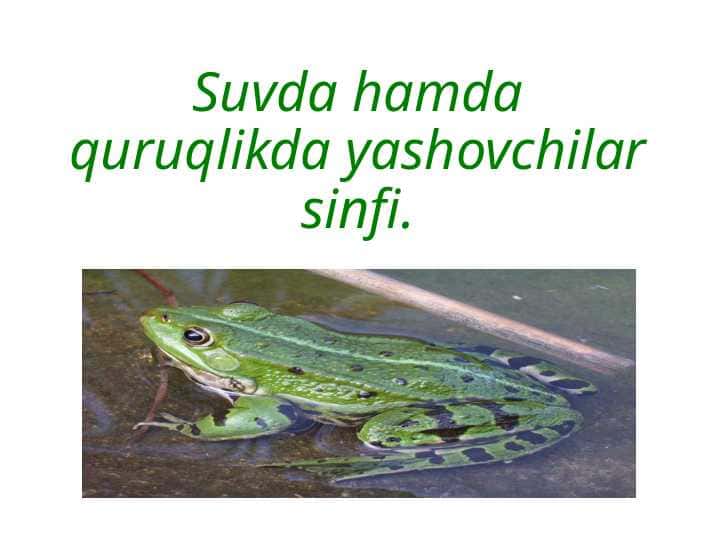 Suvda hamda quruqlikda yashovchilar sinfi.