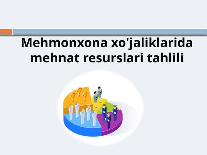 Mehmonxona xo'jaliklarida mehnat resurslari tahlili