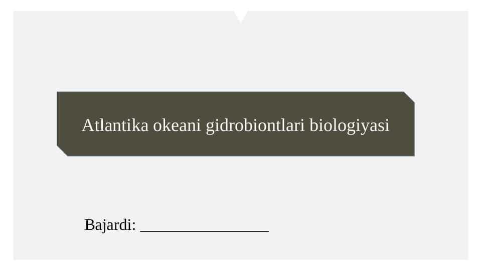 Atlantika okeani gidrobiontlari biologiyasi