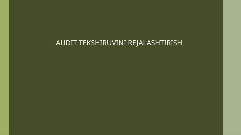 AUDIT TEKSHIRUVINI REJALASHTIRISH