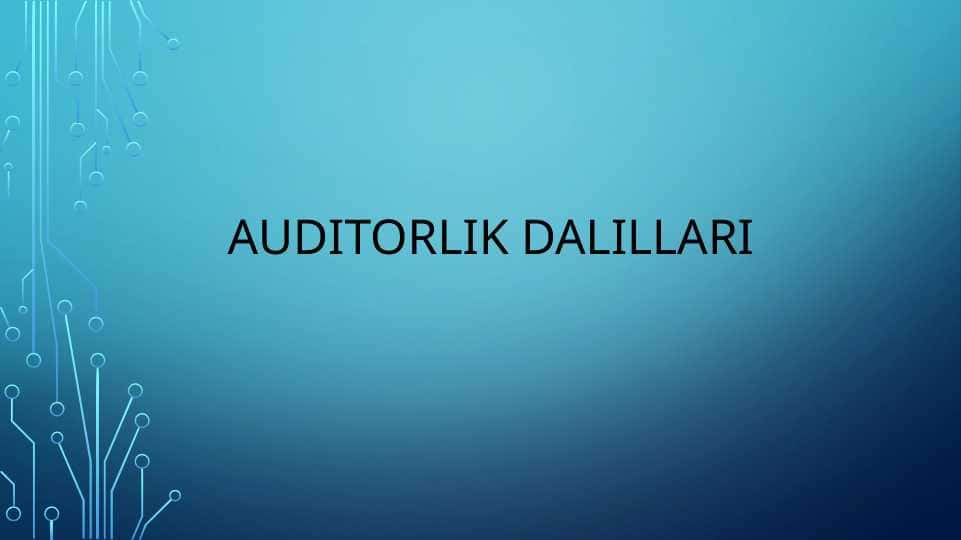 AUDITORLIK DALILLARI