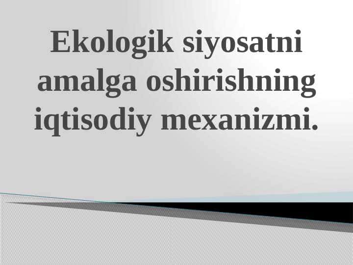 Ekologik siyosatni amalga oshirishning iqtisodiy mexanizmi.