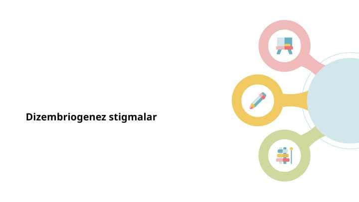 Dizembriogenez stigmalar
