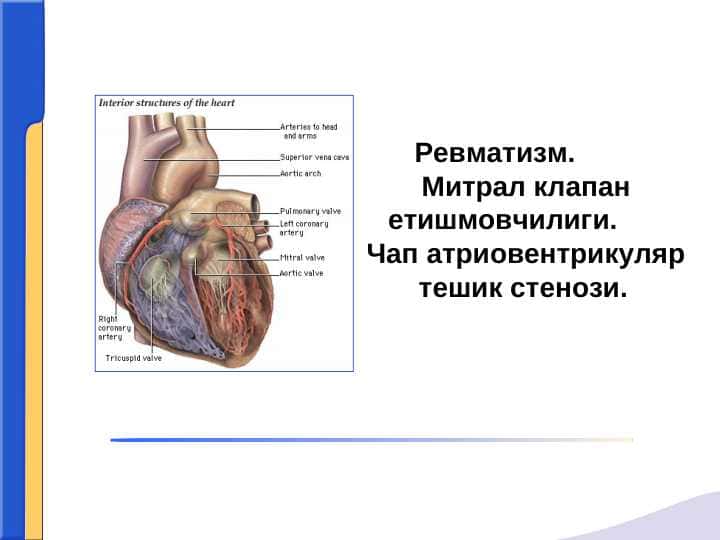 REVMATIZM. MITRAL KLAPAN YETISHMOVCHILIGI. CHAP ATRIOVENTRIKULAR TESHIK STENOZI.