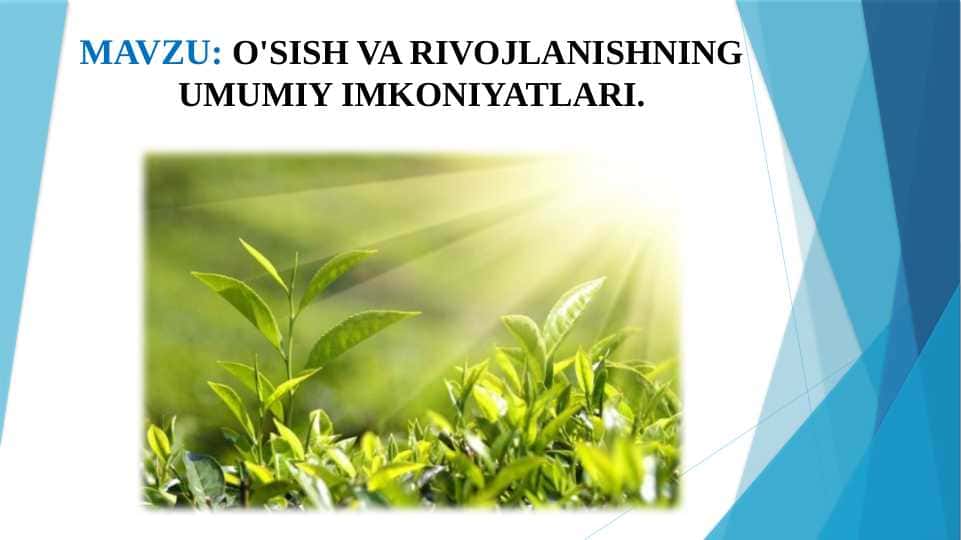 O'SISH VA RIVOJLANISHNING UMUMIY IMKONIYATLARI.