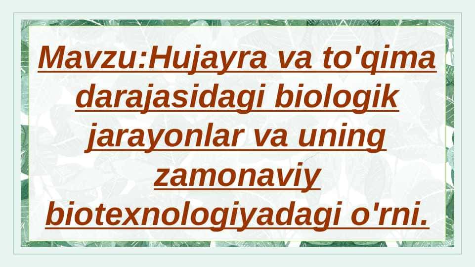 Mavzu:Hujayra va to'qima darajasidagi biologik jarayonlar va uning zamonaviy biotexnologiyadagi o'rni.