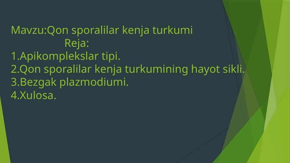 Qon sporalilar kenja turkumi