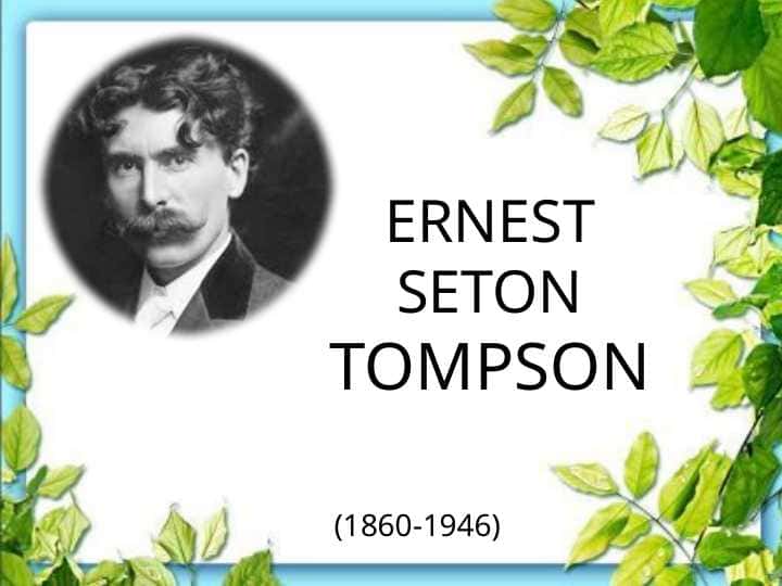 Ernest Seton Tompson Yovvoyi yo'rg'a slayd