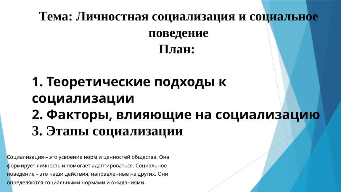 Личностная социализация и социальное поведение