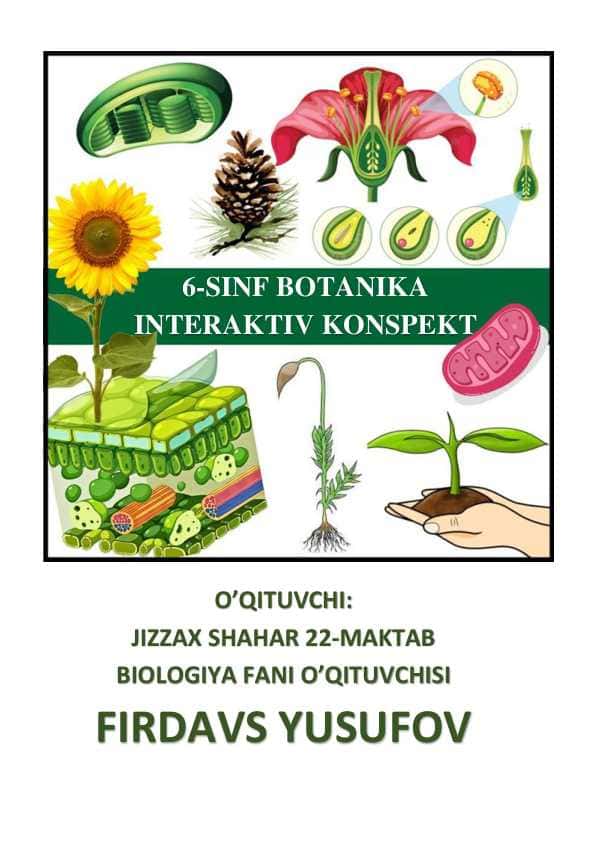 6-SINF BIOLOGIYA (BOTANIKA) DAN INTERAKTIV KONSPEKT