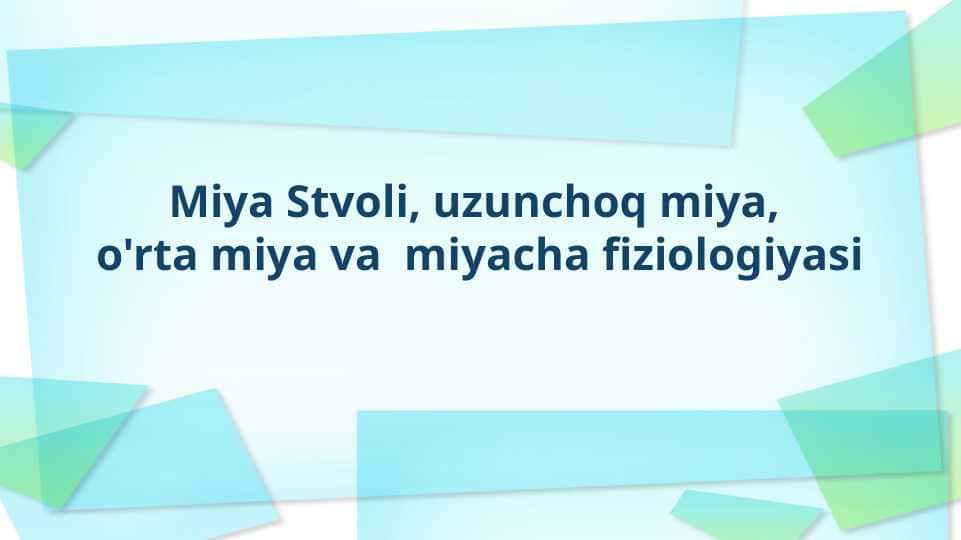 Miya Stvoli, uzunchoq miya, o'rta miya va miyacha fiziologiyasi