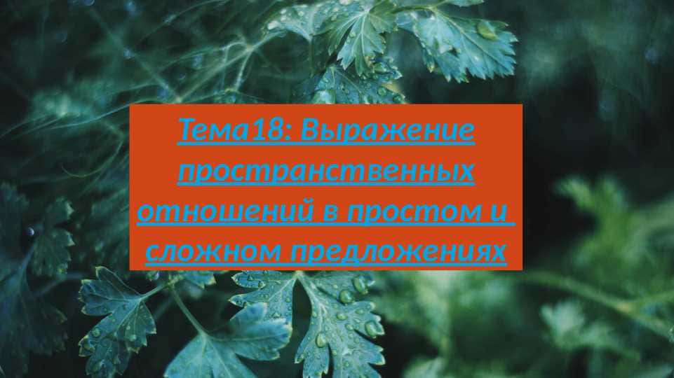 Выражение пространственных отношений в простом и сложном предложениях