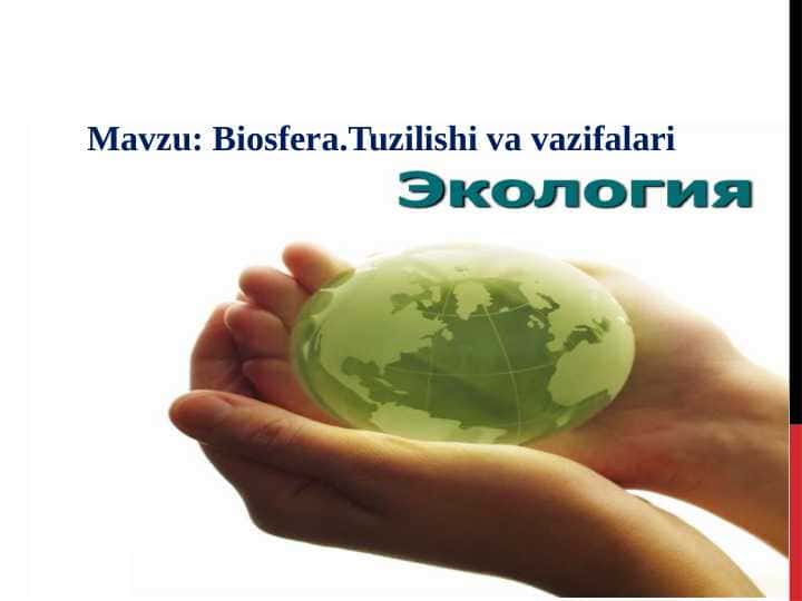 Biosfera.Tuzilishi va vazifalari