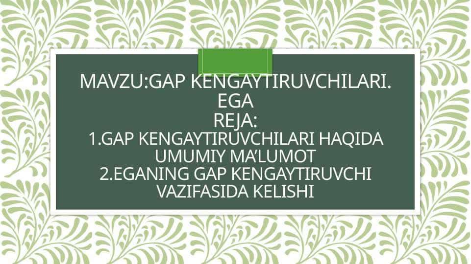gap kengaytiruvchilari. ega