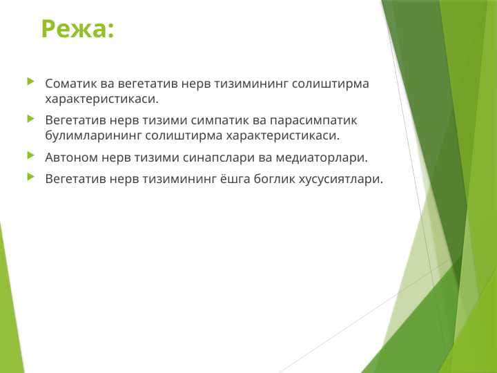 Вегетатив нерв тизими