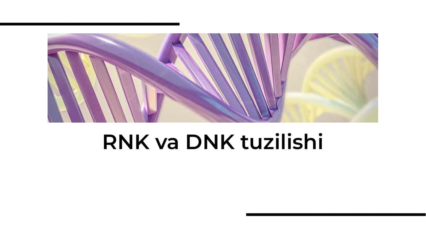 RNK va DNK tuzilishi