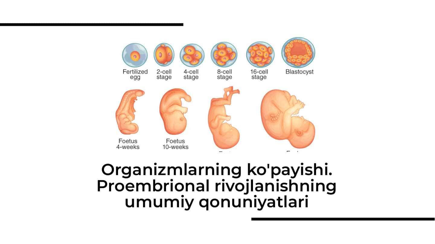 Organizmlarning ko'payishi. Proembrional rivojlanishning umumiy qonuniyatlari