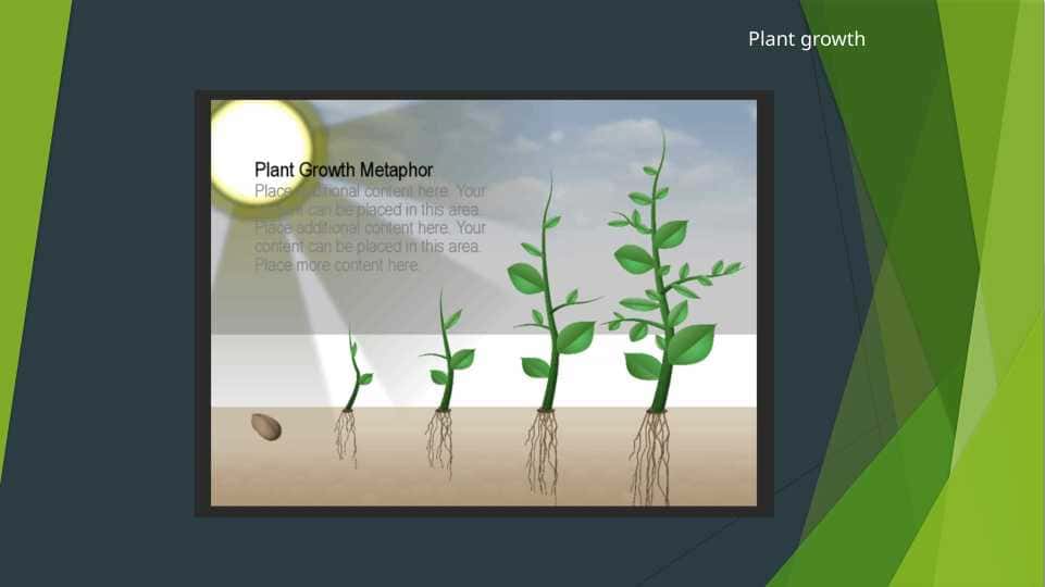 Plant products ppt