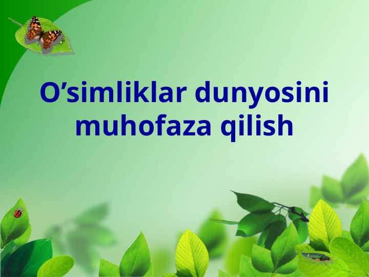 O’simliklar dunyosini muhofaza qilish