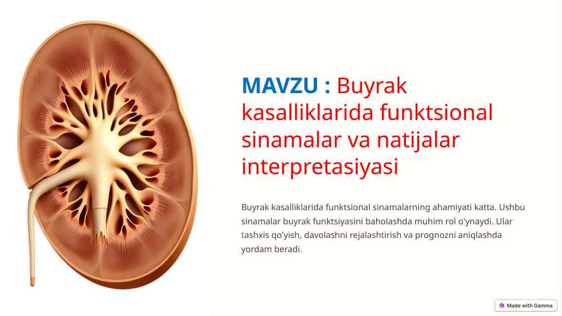 Buyrak kasalliklarida funktsional sinamalar va natijalar interpretasiyasi