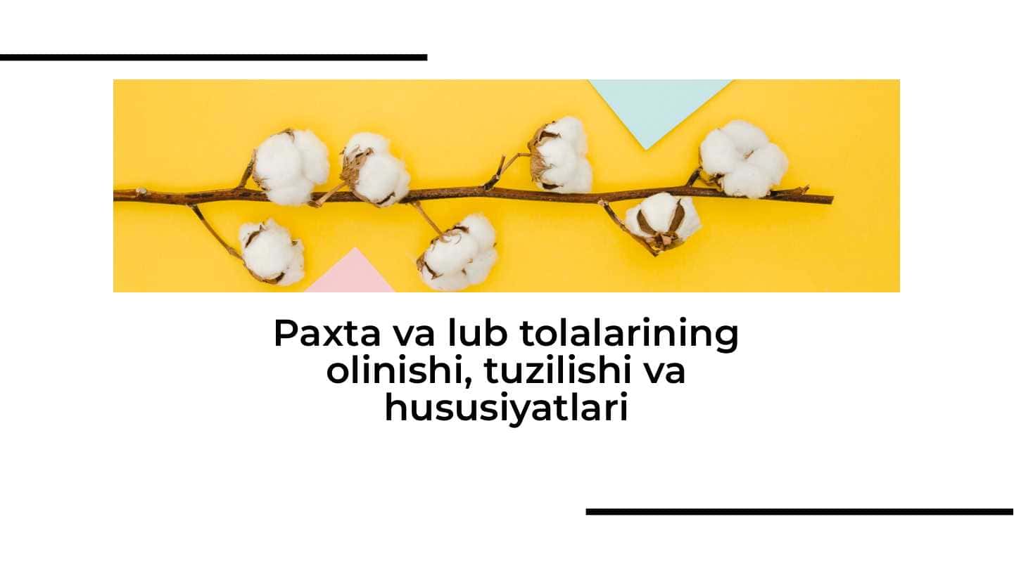 Paxta va lub tolalarining olinishi, tuzilishi va hususiyatlari