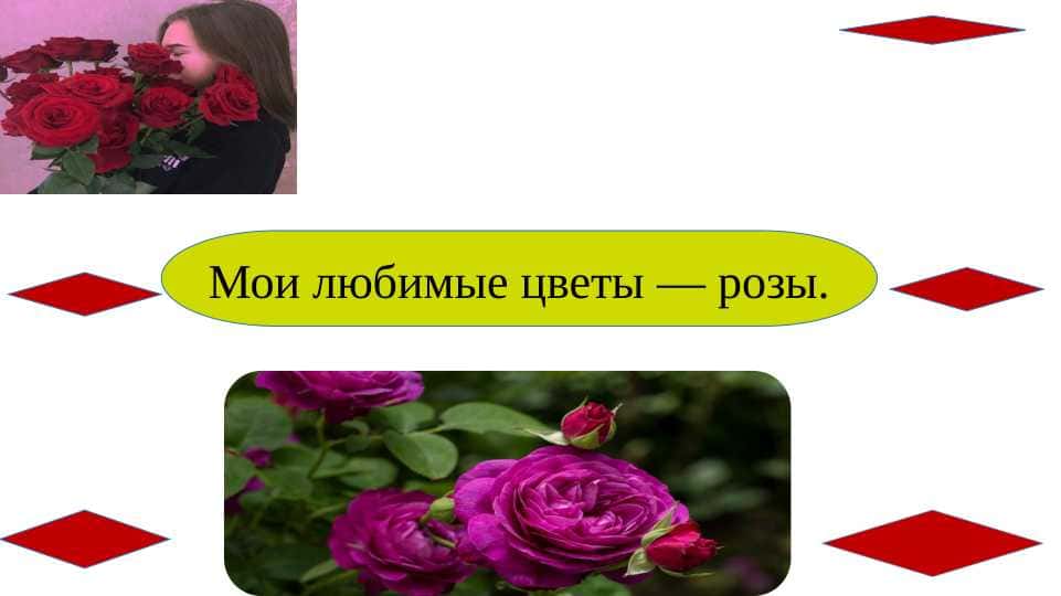Мой любимый цветок SLAYD