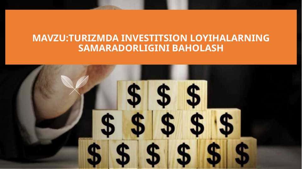 MAVZU:TURIZMDA INVESTITSION LOYIHALARNING SAMARADORLIGINI BAHOLASH