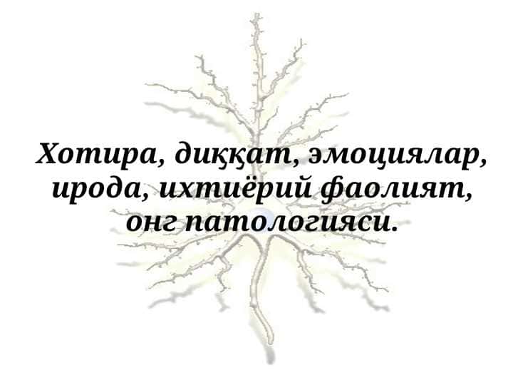 Хотира, диққат, эмоциялар, ирода, ихтиёрий фаолият, онг патологияси