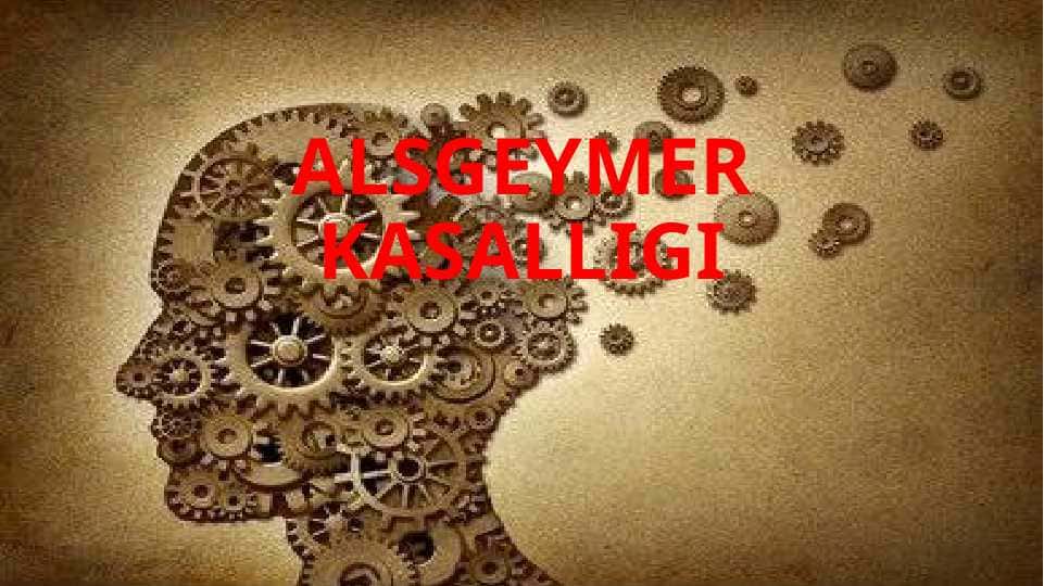 ALSGEYMER KASALLIGI